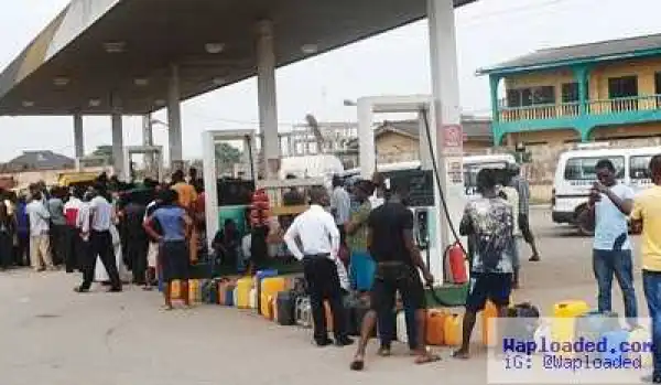 No Going Back On Subsidy Removal - Federal Government